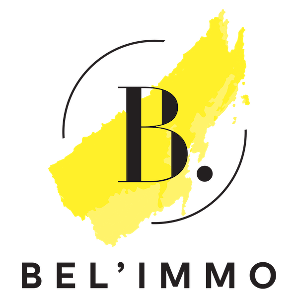 bel-immo-fond-transparent